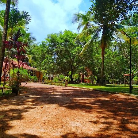 Palathra Heritage Mararikulam Ngoại thất bức ảnh