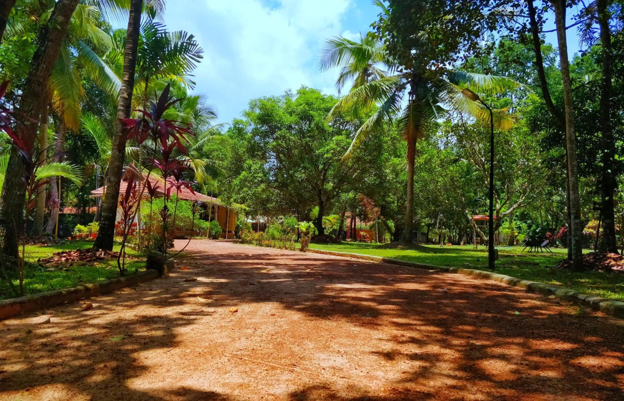 Palathra Heritage Mararikulam Ngoại thất bức ảnh