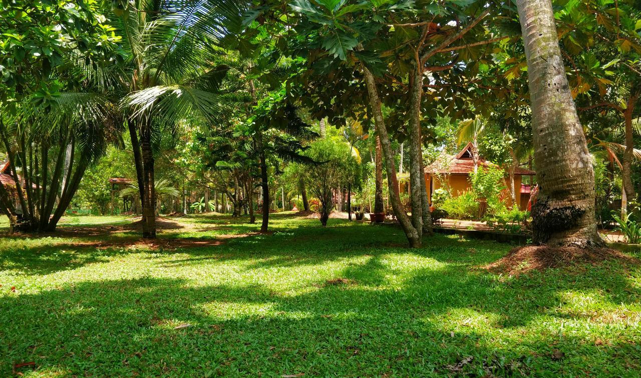 Palathra Heritage Mararikulam Ngoại thất bức ảnh